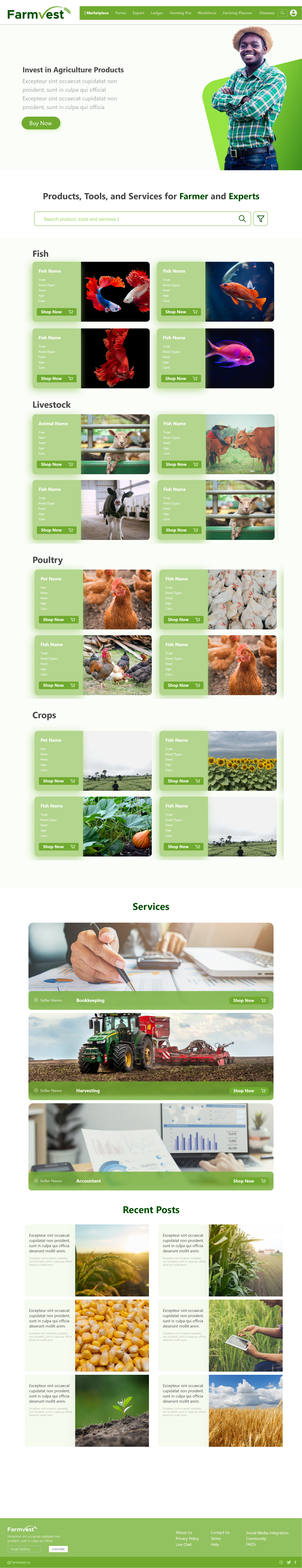 business website design